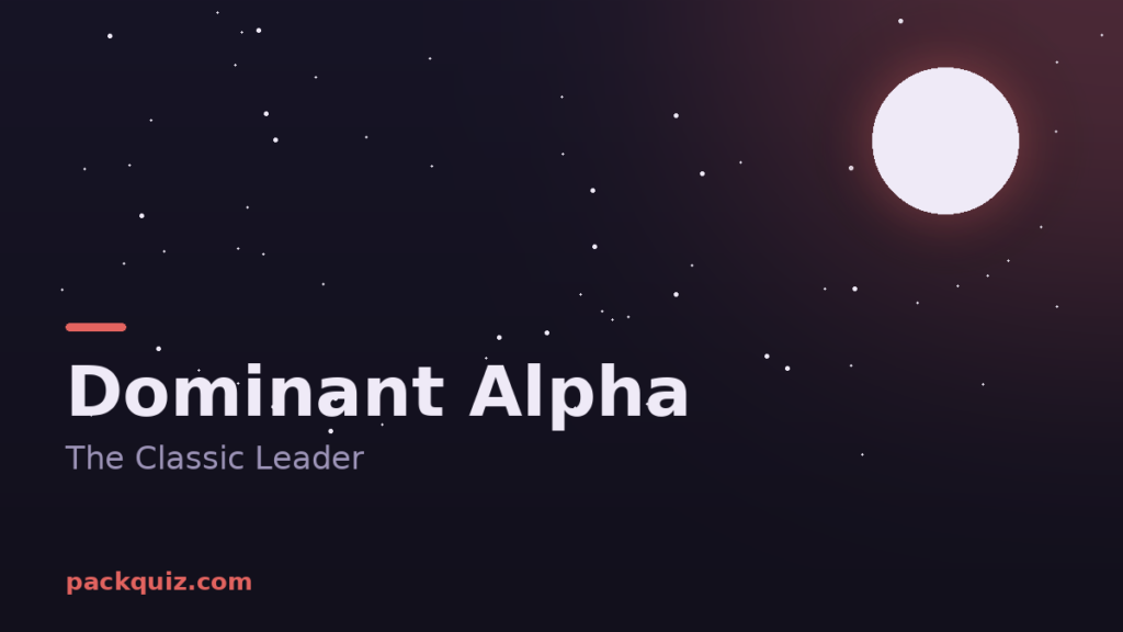 Dominant Alpha: The Classic Leader Archetype Explained